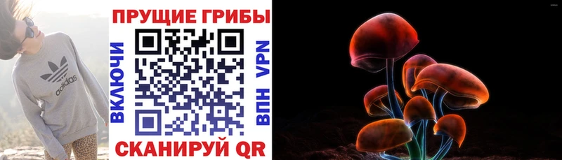 площадка какой сайт Лаишево Псилоцибиновые грибы прущие грибы
